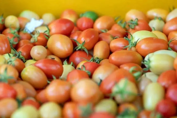 Somfresh Tomatoes — Per Piece
