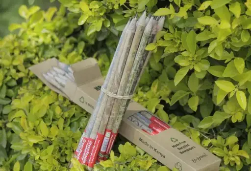 Green Pencils - Original